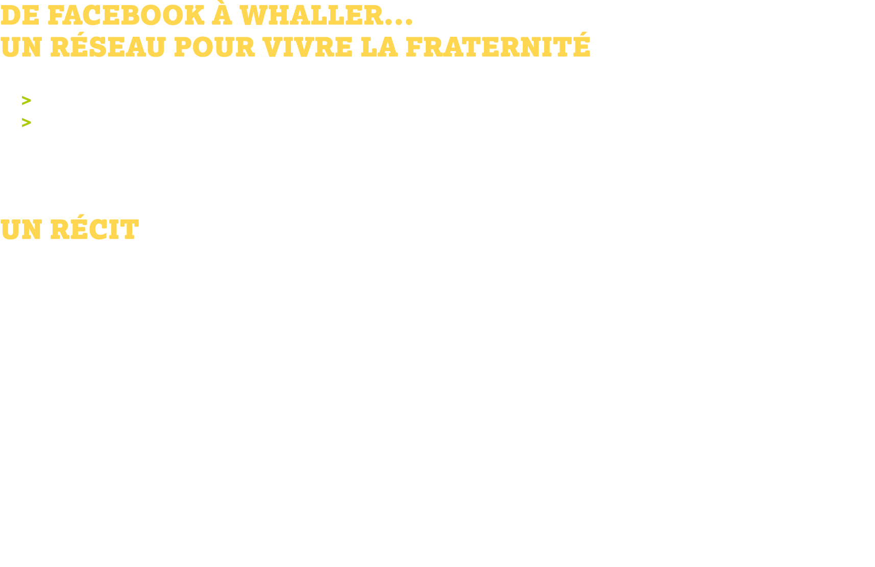De facebook à whaller... Un réseau pour vivre la fraternité 1. Travail en petits groupes autour de l’utilisation par ...